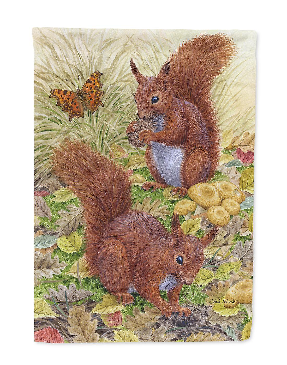 Carolines Schatze Asa2133chf Eichhornchen Flagge Leinwandgrosse