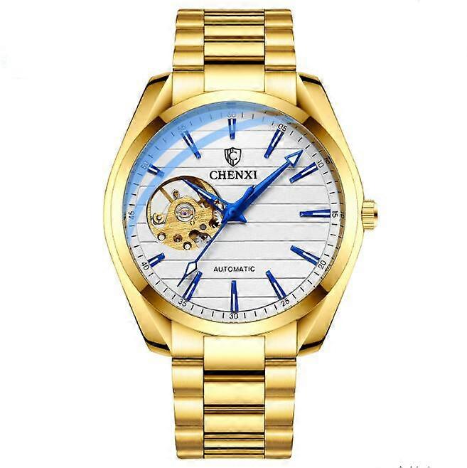 men's Mechanical watch