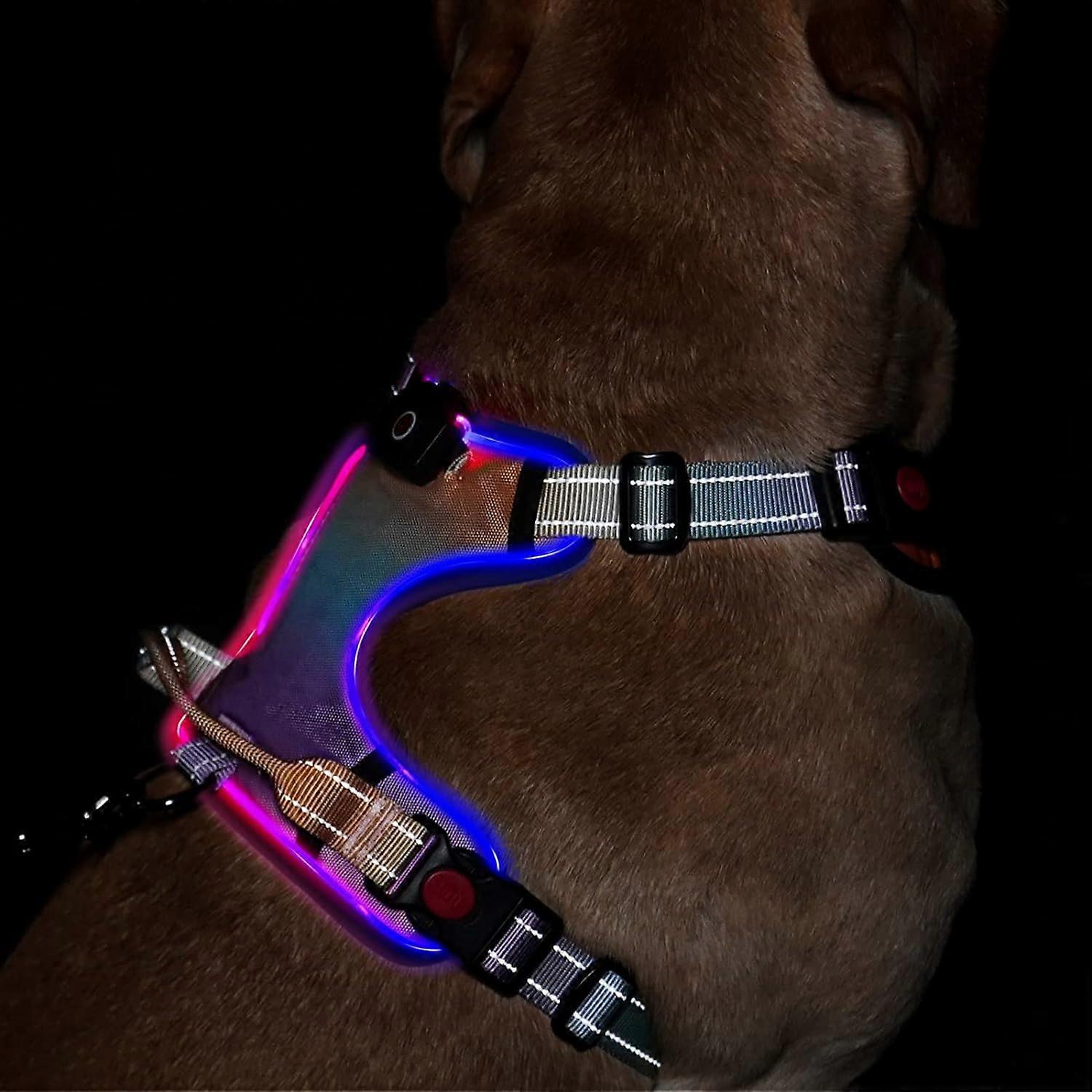 LED Light Up Dog Harness: Reflective Adjustable Vest with Rechargeable, No-Choke Pet Harness Easy Control Handle (Multi Colored,S)