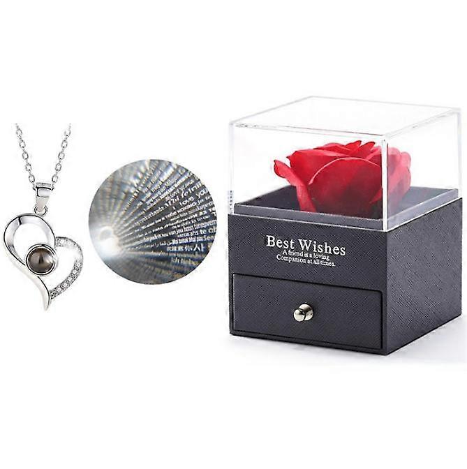 Rose with Silver-Tone Necklace for Valentine's Day