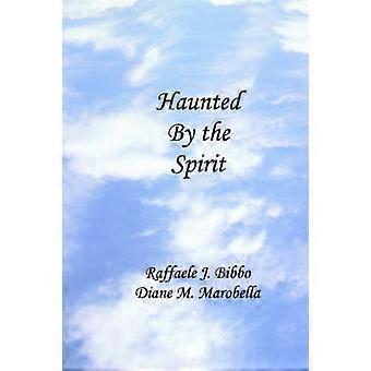 Haunted by the Spirit