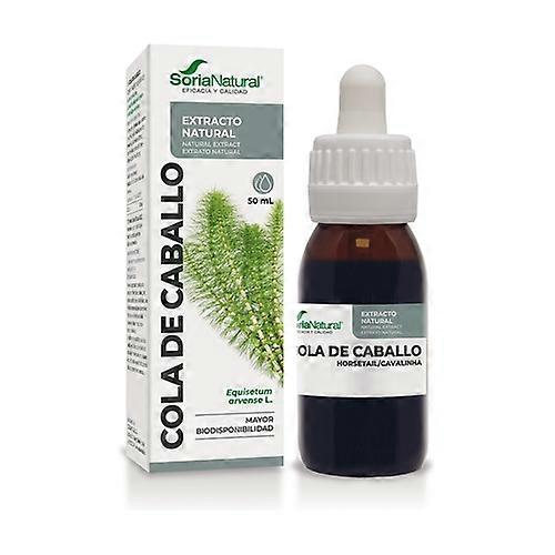 Horsetail Extract (Formula XXI) 50 ml
