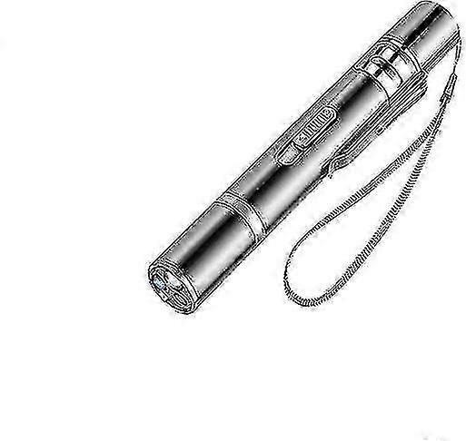 Cat Toys Led Flashlight With Usb Rechargeable