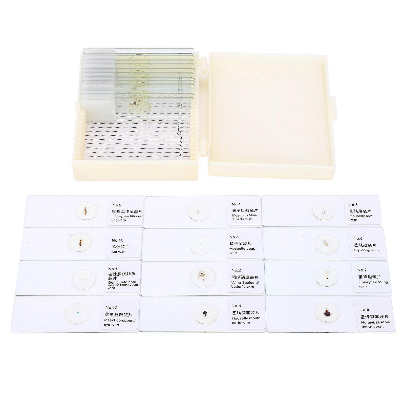 25Pcs PJH‑25 Microscope Slides Set for Insects Biological Experiment Medicine Education