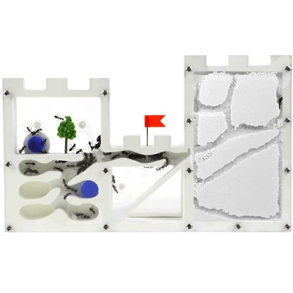 Ant Farm Educational Kit For Kids, Acrylic Ant Habitat For Hands-On Observation Of Ant Life And Ecosystem