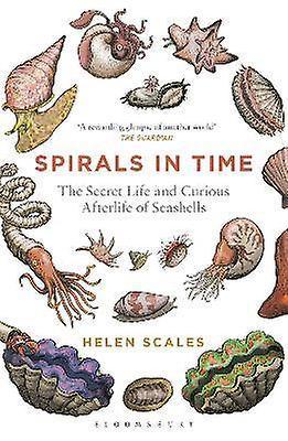 Spirals in Time