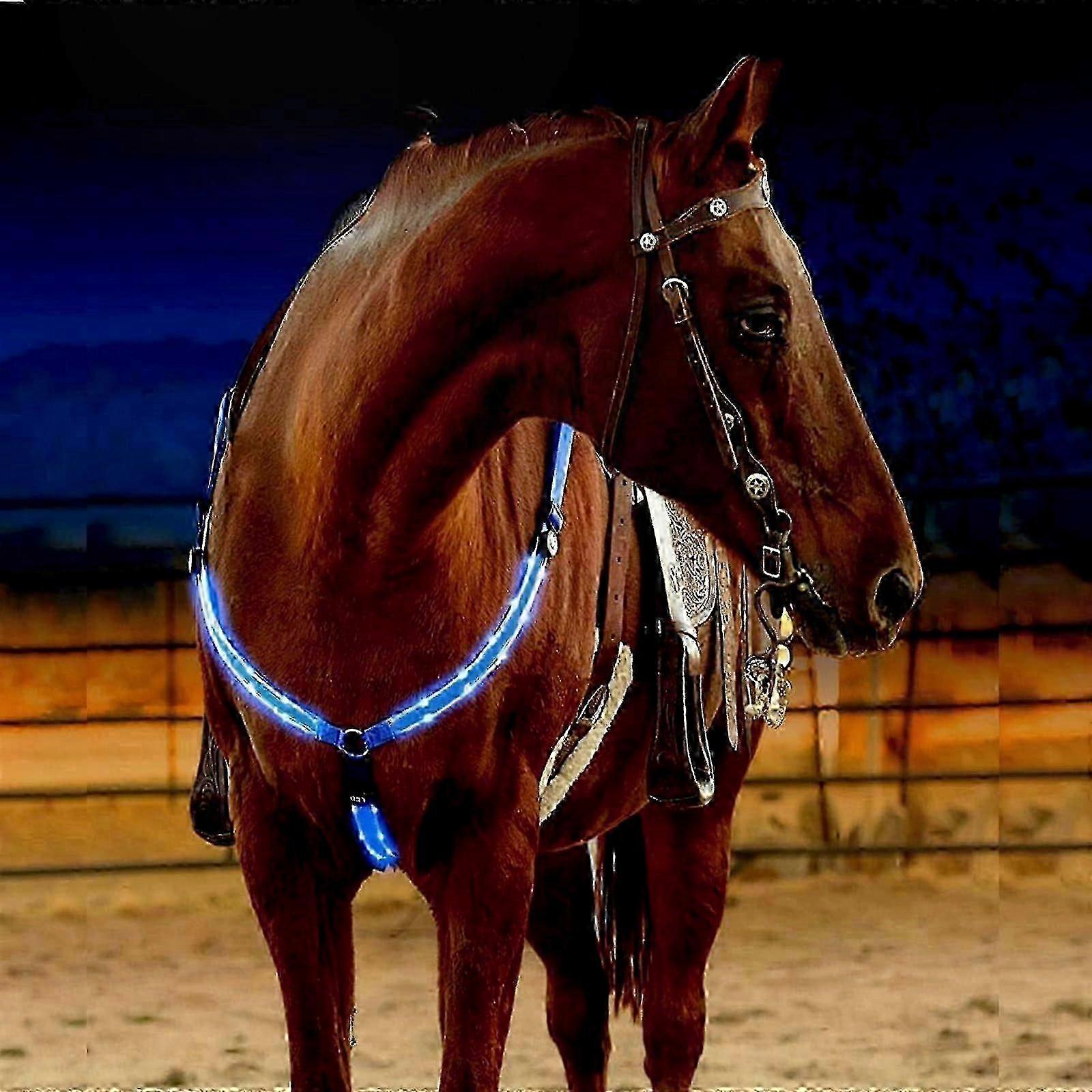 Adjustable LED Nylon Breastplate Collar with Flashing Light Bar for Night Visibility (Blue)-Good