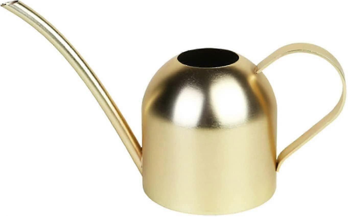 Bonsai Giekanne fr den Innen- und Auenbereich Giekanne Edelstahl fr  Zimmerpflanzen (golden, 500ml) | Fruugo DE