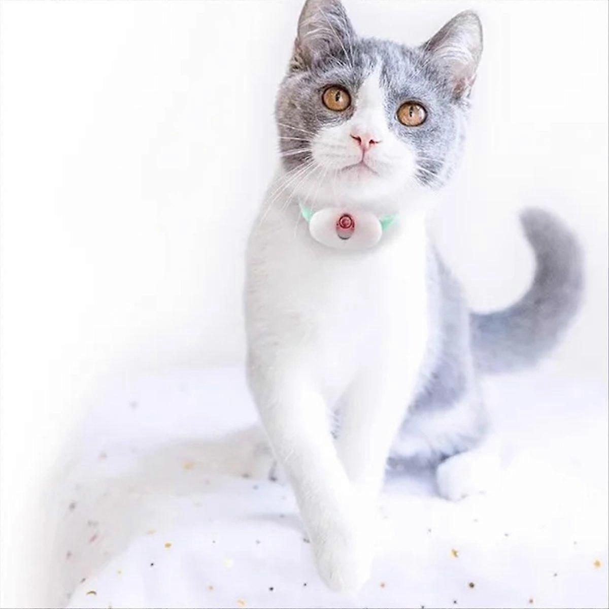 Smart Laser Tease Cat Collar Pointer Kitten Automatic Toys