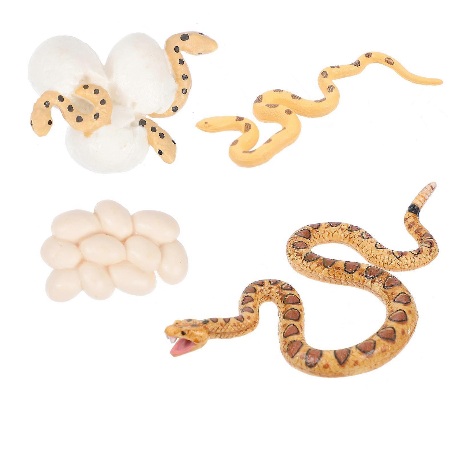 Simulation Rattlesnake Model Toy Set for Kids Cognitive Learning 1Set