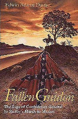 Fallen Guidon