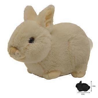 Teddy Baby Rabbit All About Nature
