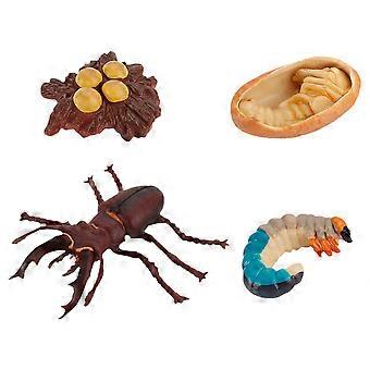 Kids Insect Growth Toy Models for Education 4Pcs Simulation Display Set