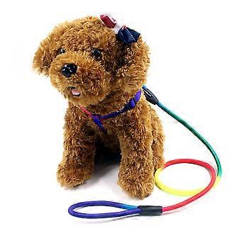 Pet Traction Rope Rainbow Color Dogs Collars Leads for Pet Use Size L