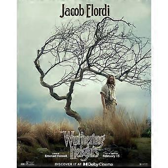 Wuthering Heights 2026 Stress-Relieving Puzzle BD-1978