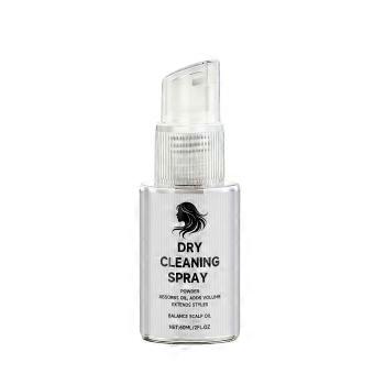 Dry Shampoo Natural Powder - Quick Action Portable Styling Tool for Men Women Oily Dry Straight Curly Hair jdd
