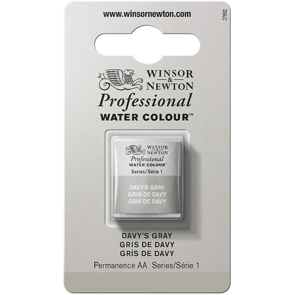 Winsor & Newton Professional Watercolour Half Pan, 217 Davy's Grey S1