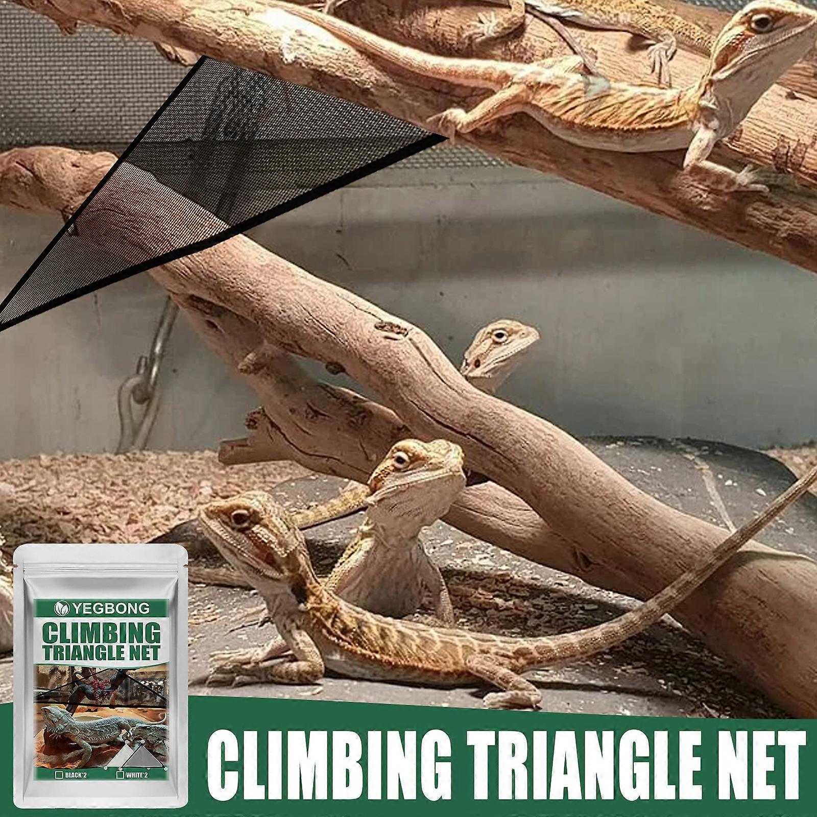 Reptile Lizard Gecko Climbing Triangle Net