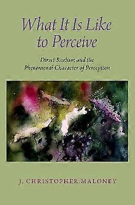 What It Is Like to Perceive