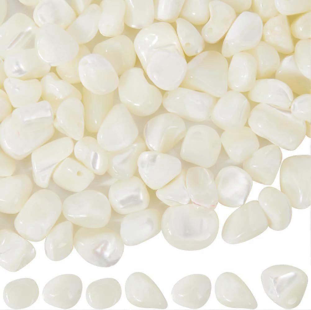 1 Box 2 Strands 100Pcs Ocean Shell Beads Natural Trochus Shell Bead Bulk Summer Sea Beach Freeform Irregular Trochid Chips Seashell Loose Beads for Je