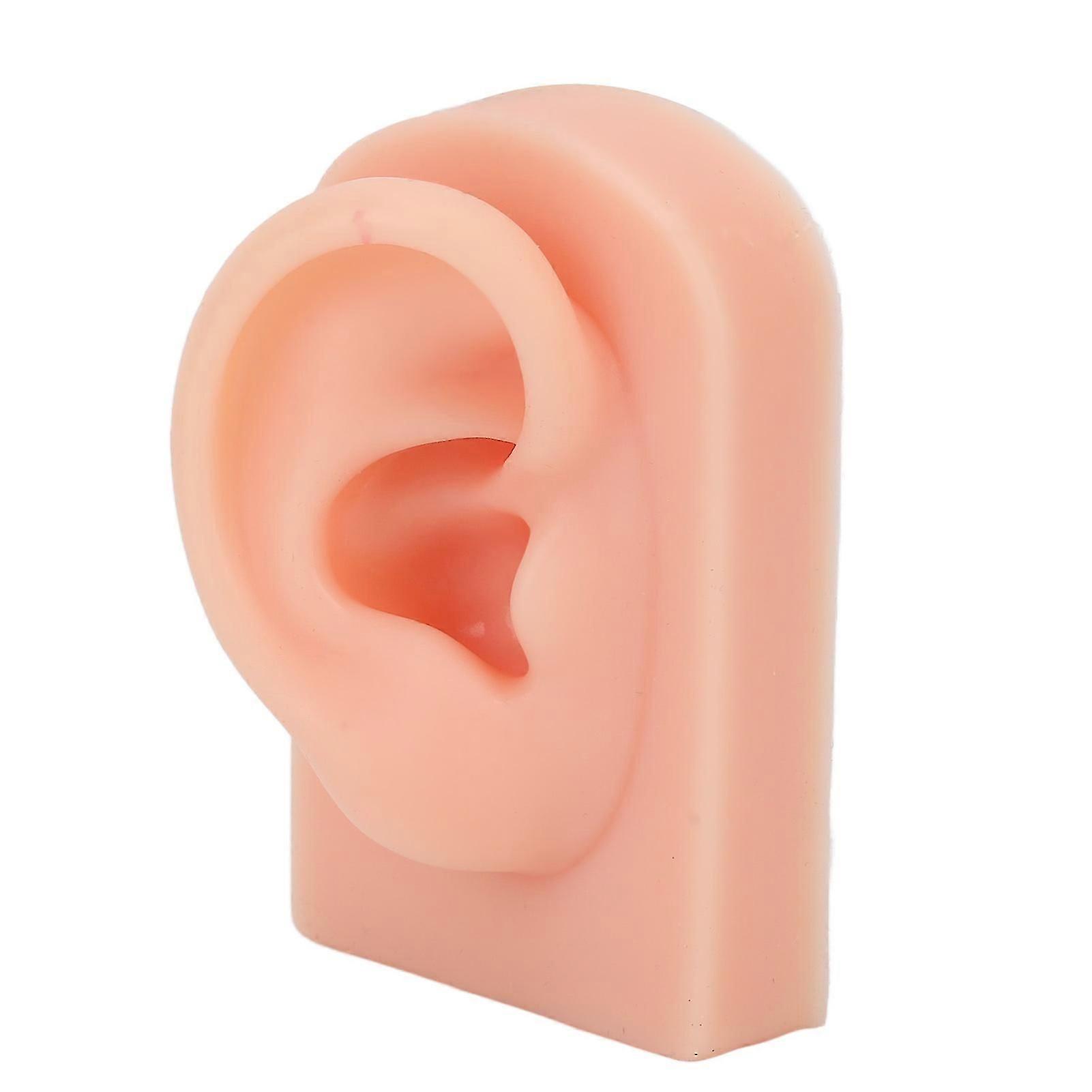 Silicone Ear Model Soft Flexible Right Ear Reusable Human Ear Model for Ear Piercing Training And Earrings Display Light Complexion
