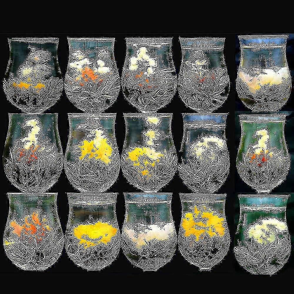 16 Sorten Chinesischer Blühender Tee, Grüner Tee, Perle, Künstlerisch