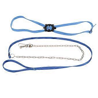 Turtle Harness Leash Justerbar Hudvenlig Pet Harness Reptile Leash til udendørs Blue L