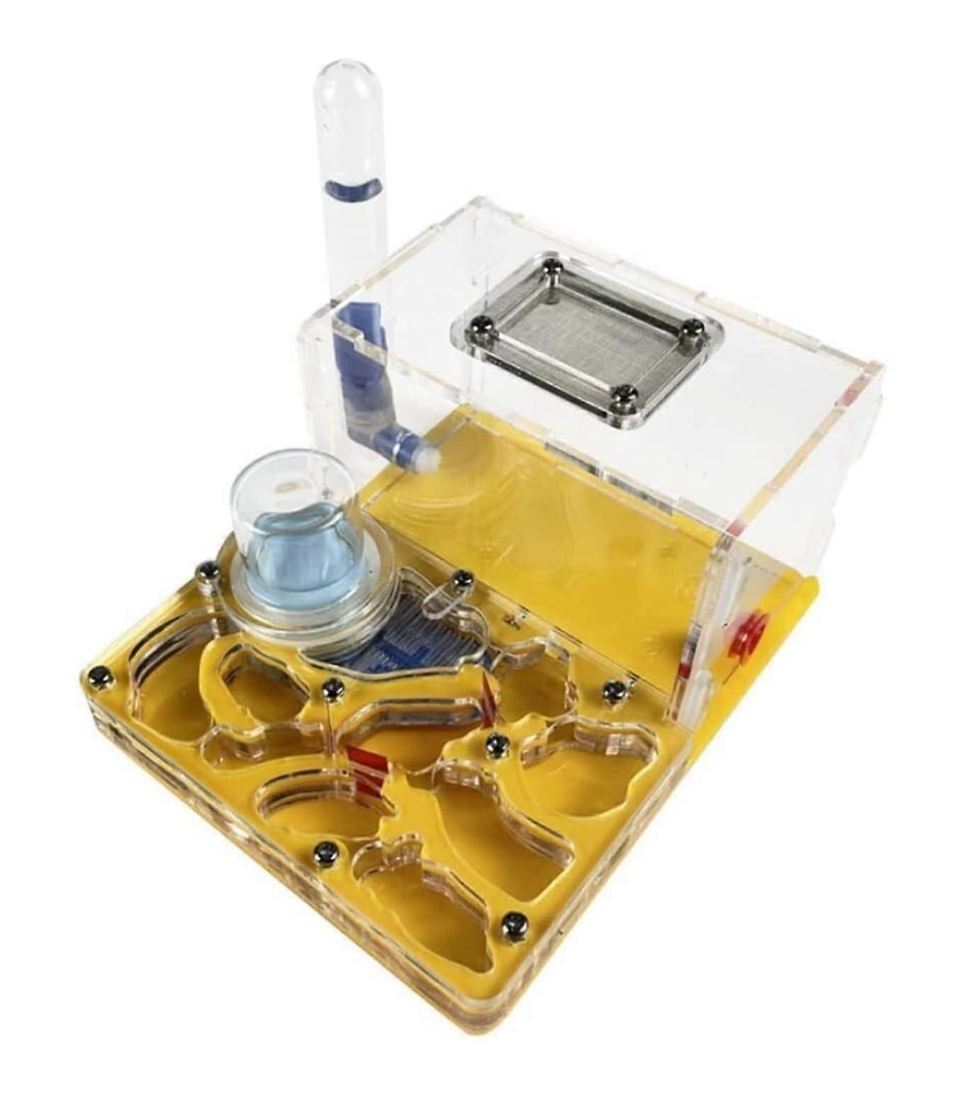 Ant Farm Terrarium Acrylic Observation Set With Ant Nest And Multicolor Viewing Area, 15 x 12 x 7.5 cm, Yellow