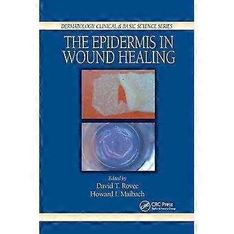 The Epidermis In Wound Healing - Taylor & Francis Ltd
