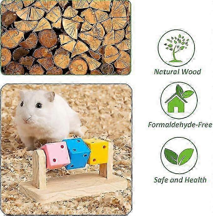 Beautiful view of Environmental Toys For Hamster Sensory Stimulation
