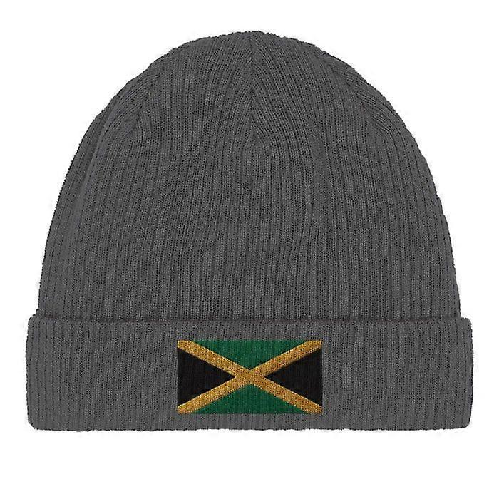 Jamaica Flag Beanie in Gray