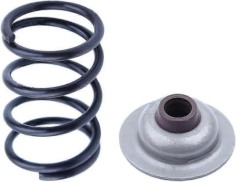 Intake Valve Seal Spring Set Kit, for Engine Part for Honda Gx25 Gx25N Hht25S, 14751-Z0H-000, 12209-Z0H-003