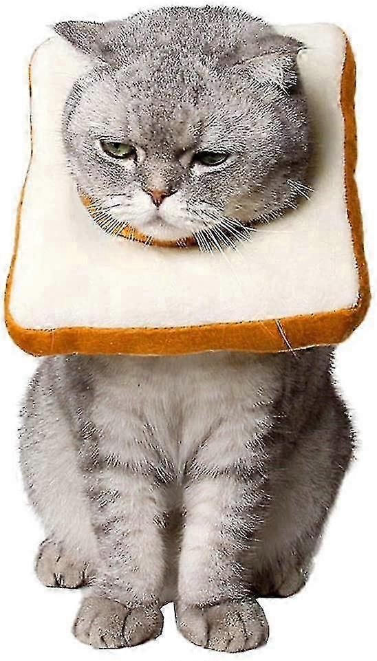 Cat recovery collar soft adjustable after surgery