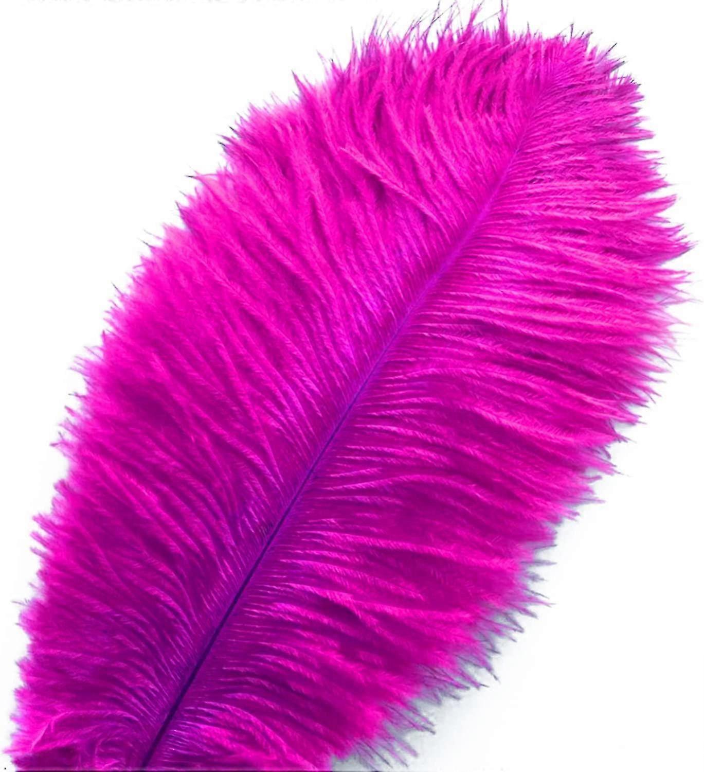 50pcs Ostrich Feathers For Decorations 26s