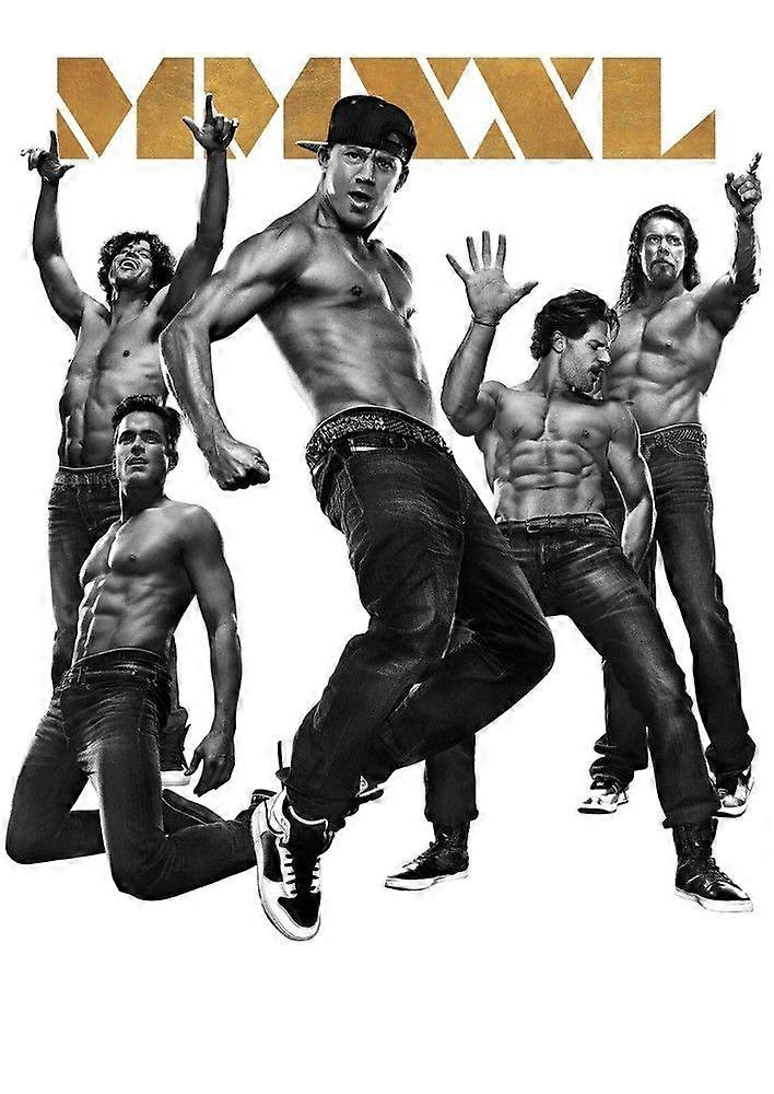 Magic Mike Jigsaw Puzzle Brain Teaser QT 1214