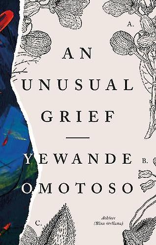 An Unusual Grief by Yewande Omotoso Paperback