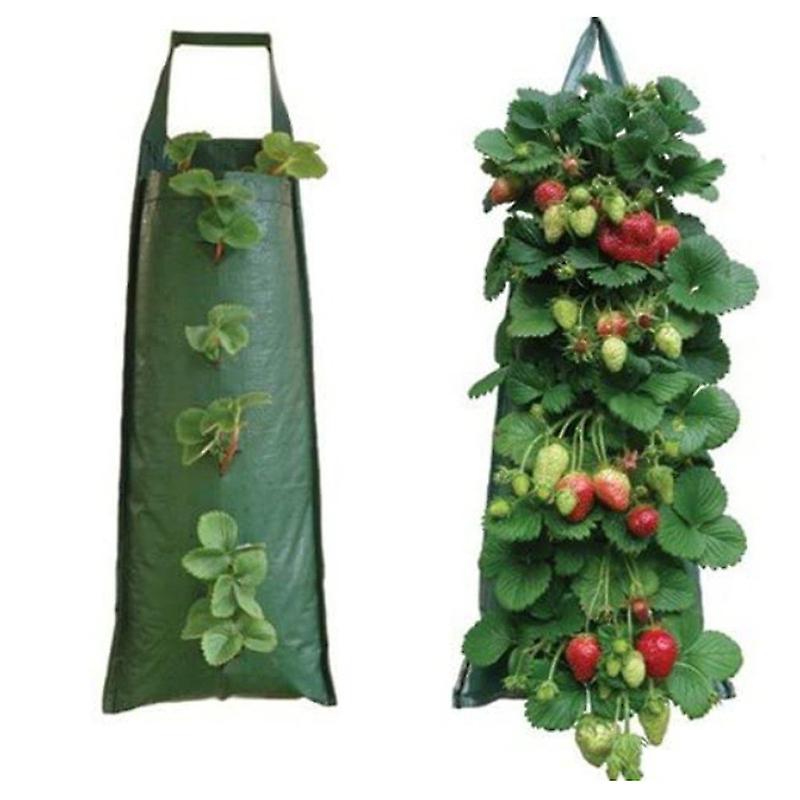 Set of 2 Strawberry Hanging Bags