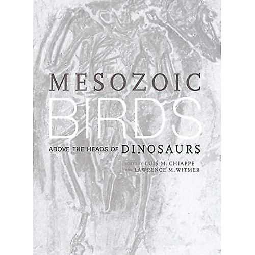 Mesozoic Birds: Above the Heads of Dinosaurs