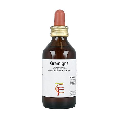 Gramigna Hydroalcoholic Solution 100 ml