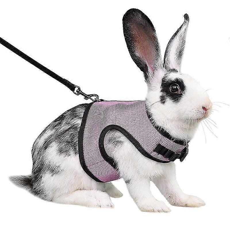 Adjustable Soft Harness with Elastic Leash for Rabbits