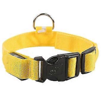 Light Up Dog Collar Lights For Nighttime Clip On Led Dog Collar Bright & High Visibility Lighted