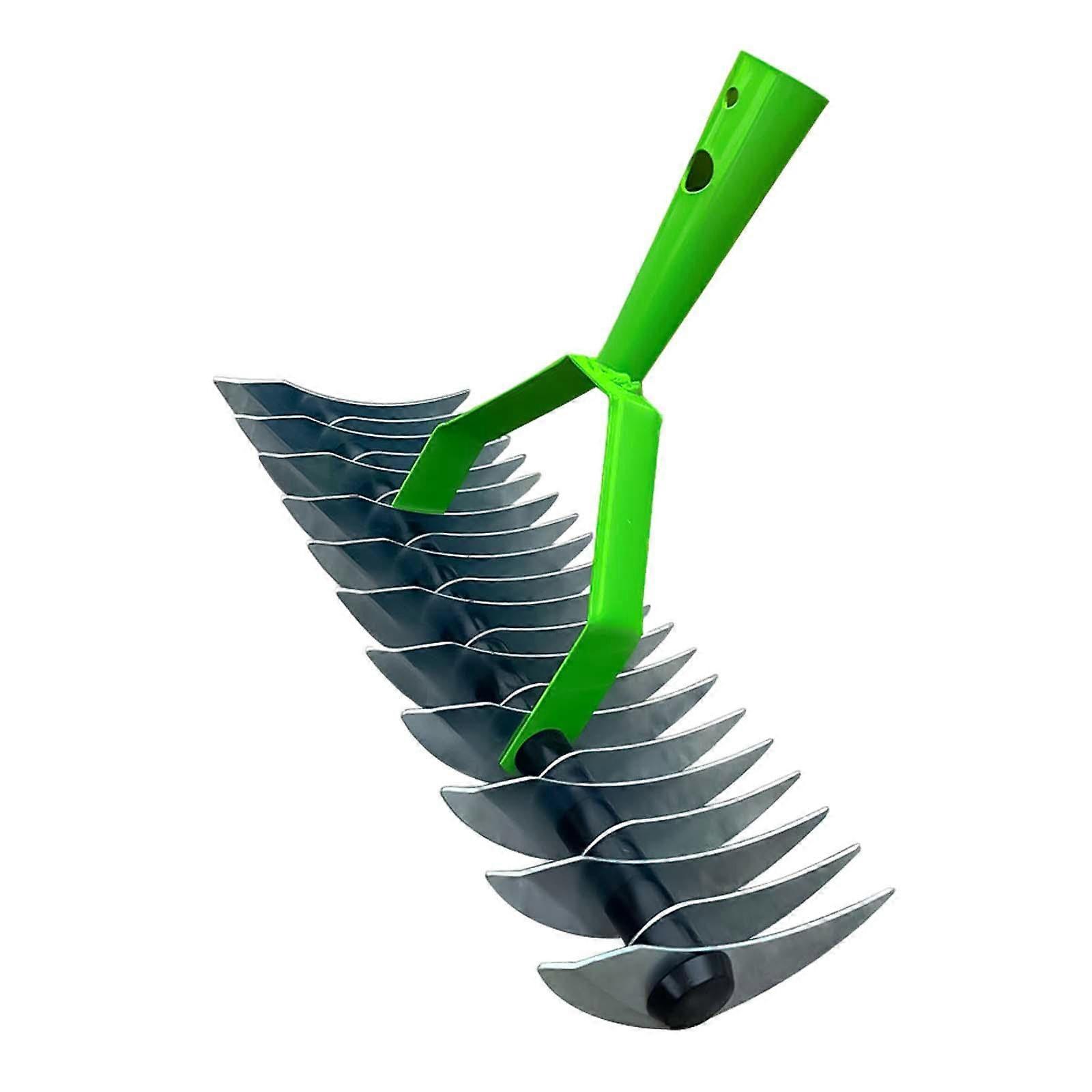 Lawn Dethatching Rake for, Head