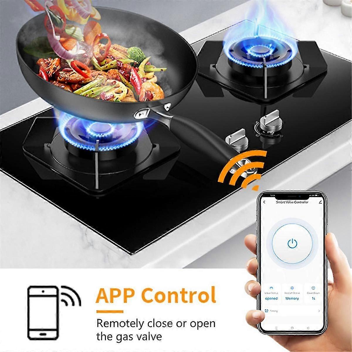 Tuya Smart WiFi Smart Valve Manipulator Gas Adjustable Water Valve Leak Controller Supports Alexa E