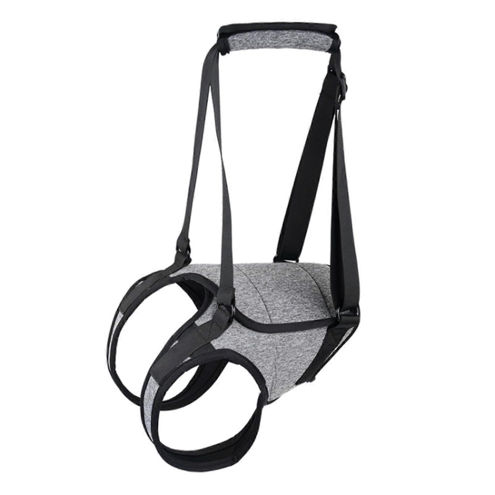 Dog Hind Leg Support Harness   Rehabilitation and Comfort for Hind Leg Problems, Size L