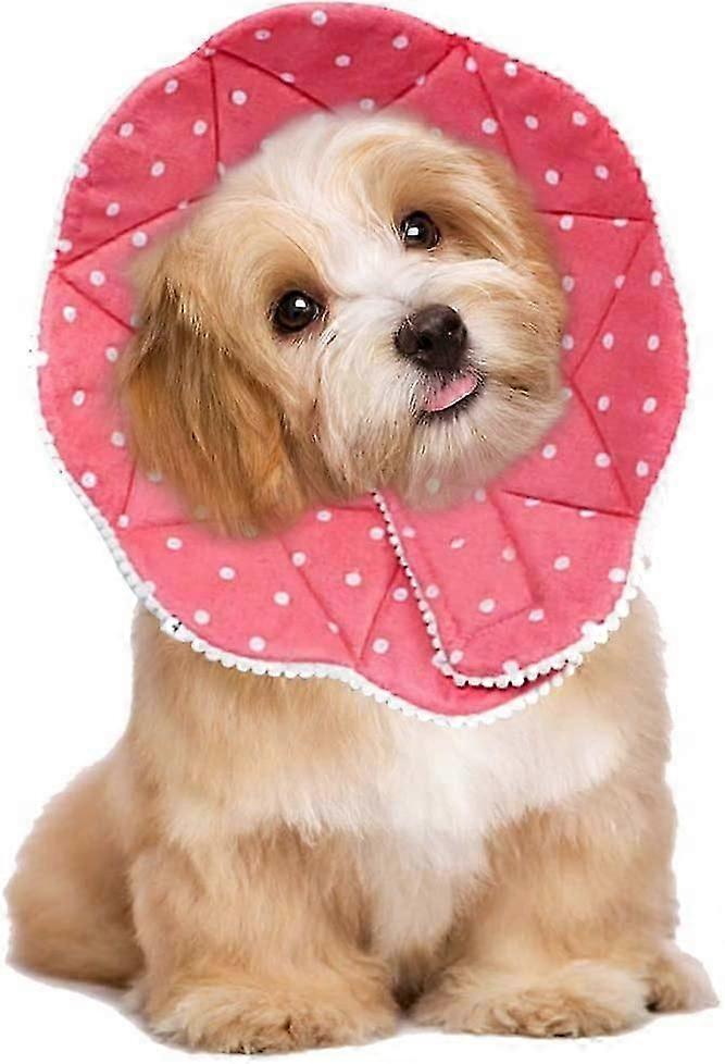 Veterinary Recovery Collar for Pets - Waterproof & Bite-Proof Post-Surgery Cone