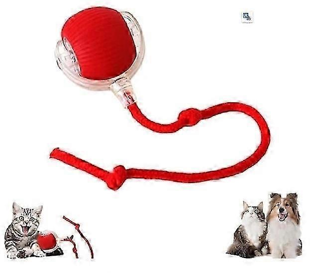 interactive rolling ball for pets smart tuggboll