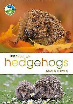 RSPB Spotlight Hedgehogs