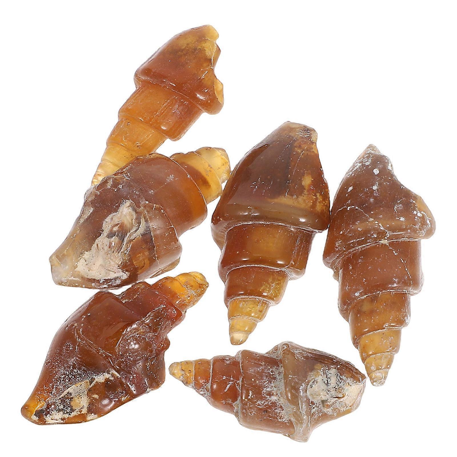 Ancient Gastropod Specimens For Scientific Research With Unique Structures In Light Brown 6Pcs