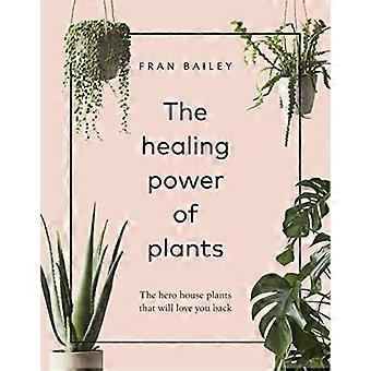 The Healing Power of Plants The Hero House Plants that Love You Back