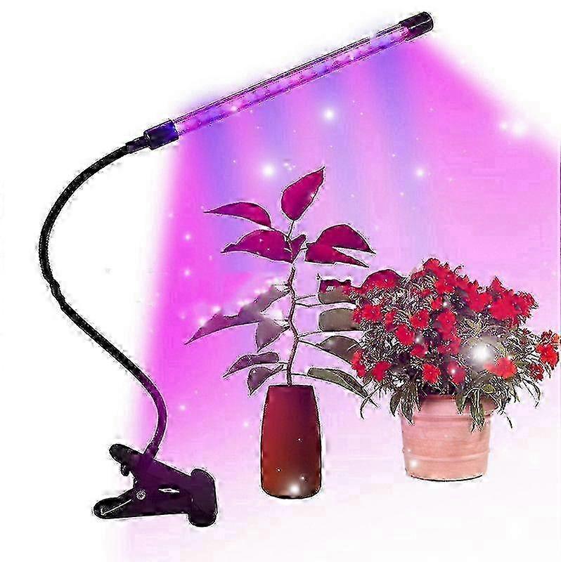 Plant Lamp Full Spectrum Succulent Coloring Cycle Timed Dimming Red And Blue Light Succulent Fill Light